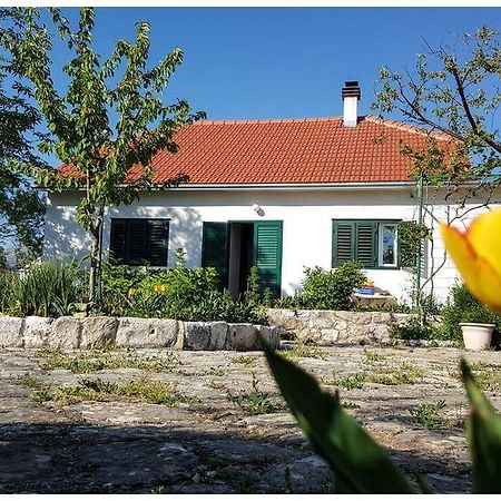 Holiday Home "Kike & Mara" Drniš Exterior foto